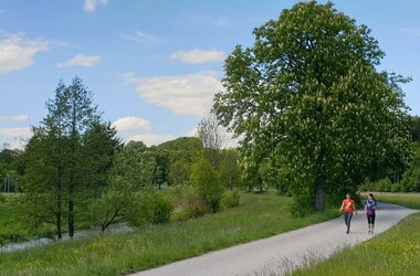 Auwerk-Camping - 